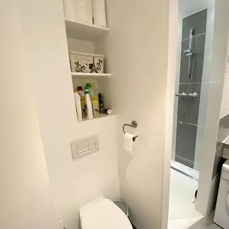 A La Montagne Au Pied Des Pistes Classe 3 Etoiles * Saint-Lary-Soulan